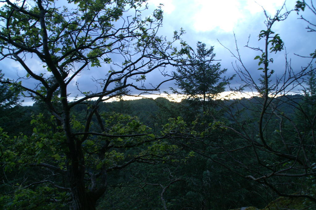 Gite Des Evets La-Roche-en-Ardenne Zewnętrze zdjęcie