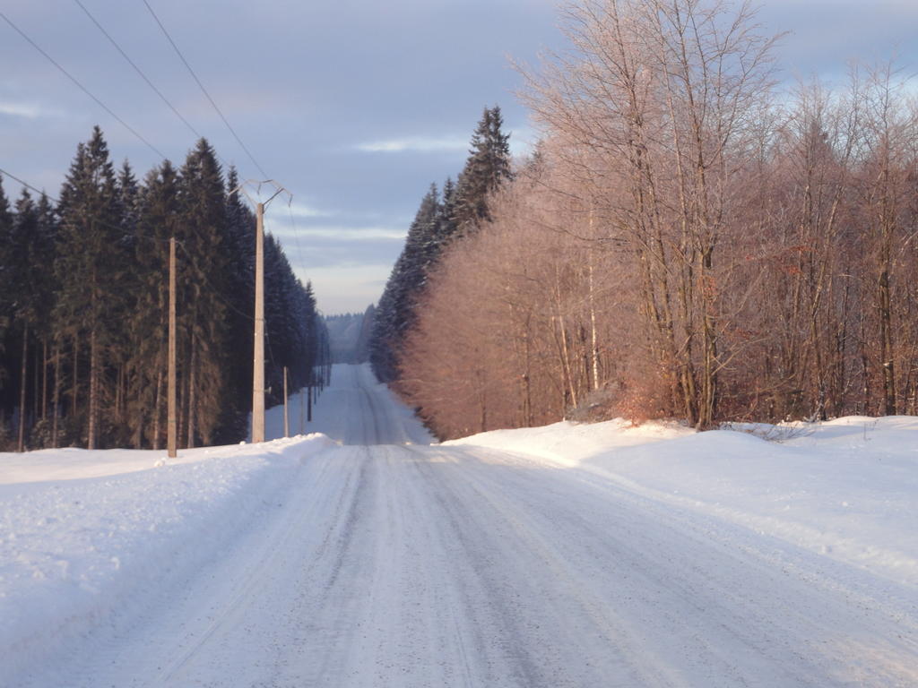 Gite Des Evets La-Roche-en-Ardenne Zewnętrze zdjęcie